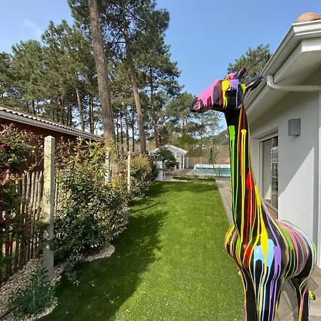Laetitia A Villa Lège-Cap-Ferret